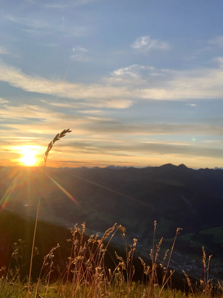 Immagine caricata da Andrea