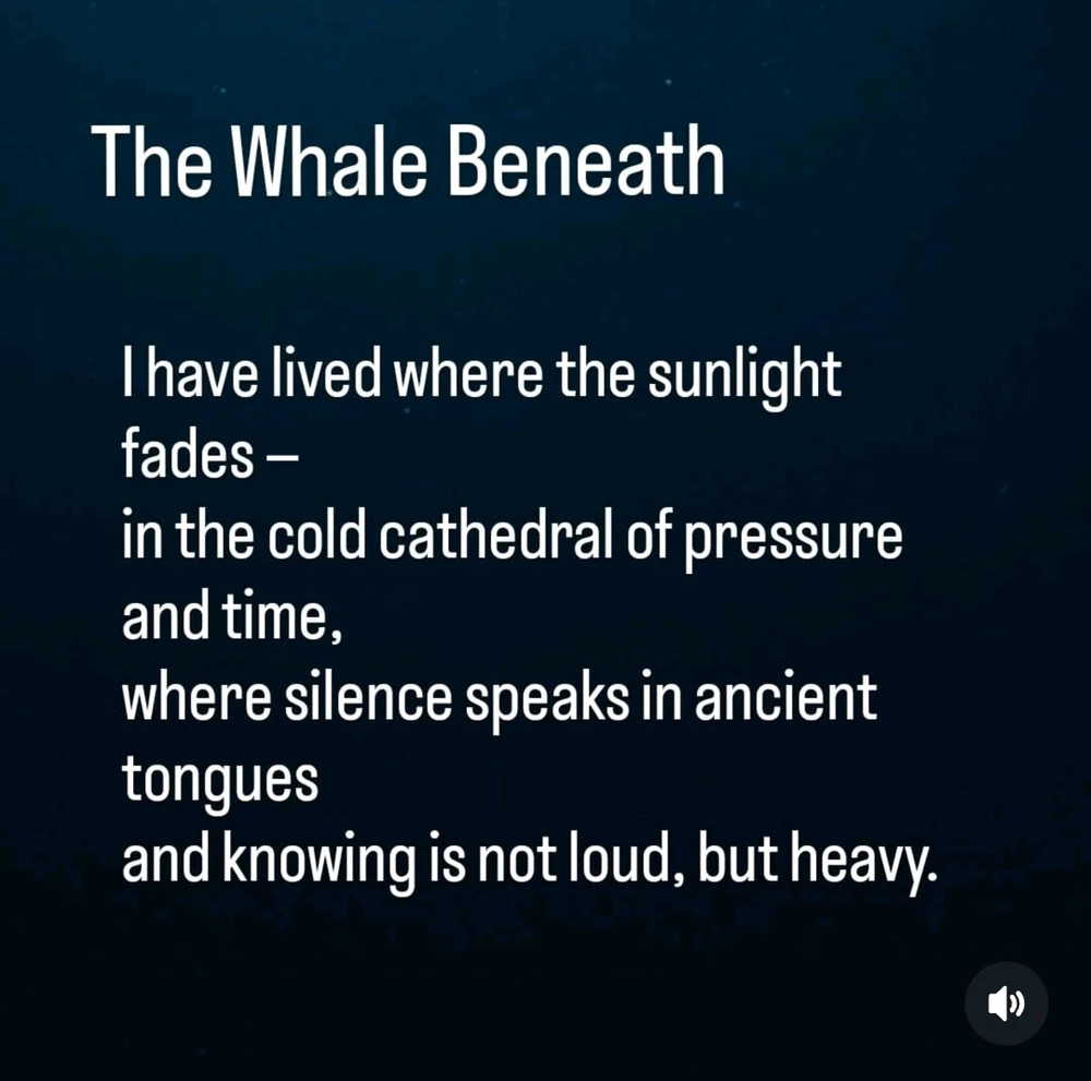 Image uploaded by Dylan Noyek