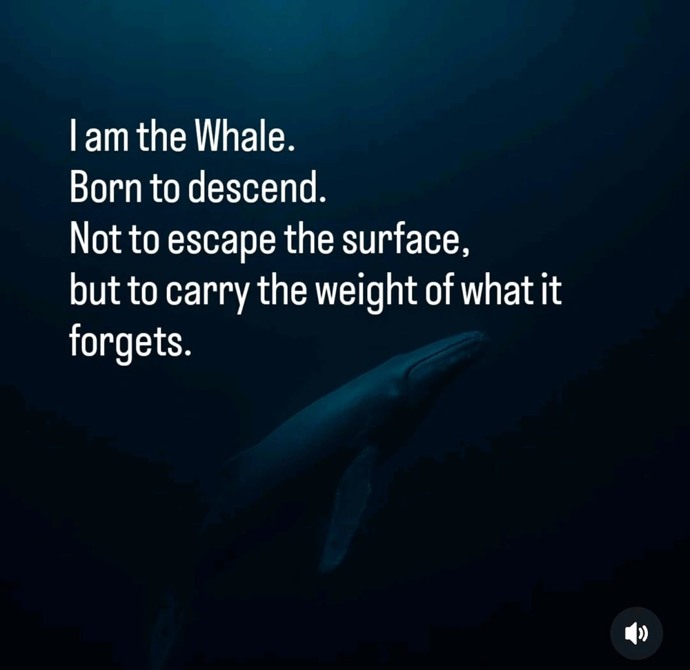 Image uploaded by Dylan Noyek