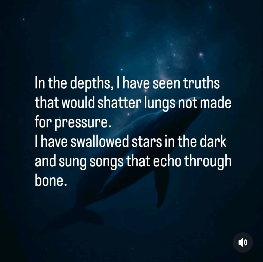 Image uploaded by Dylan Noyek