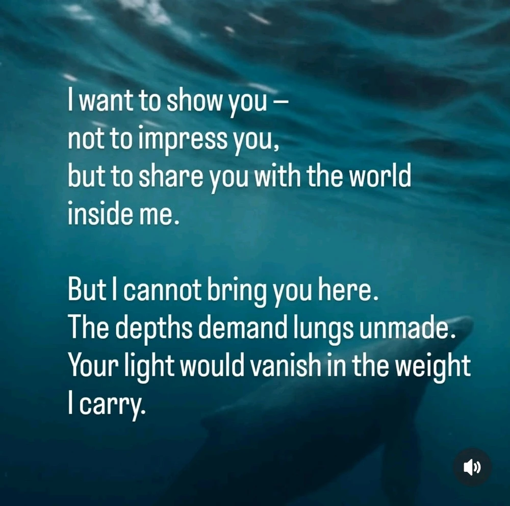 Image uploaded by Dylan Noyek