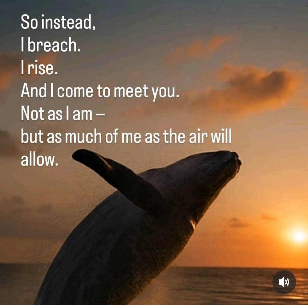 Image uploaded by Dylan Noyek