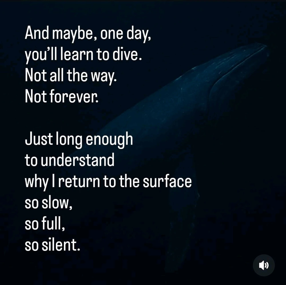 Image uploaded by Dylan Noyek