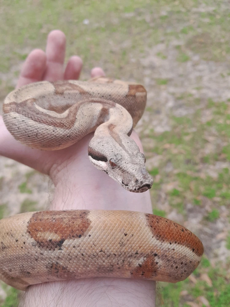 GIF uploaded by Kyler