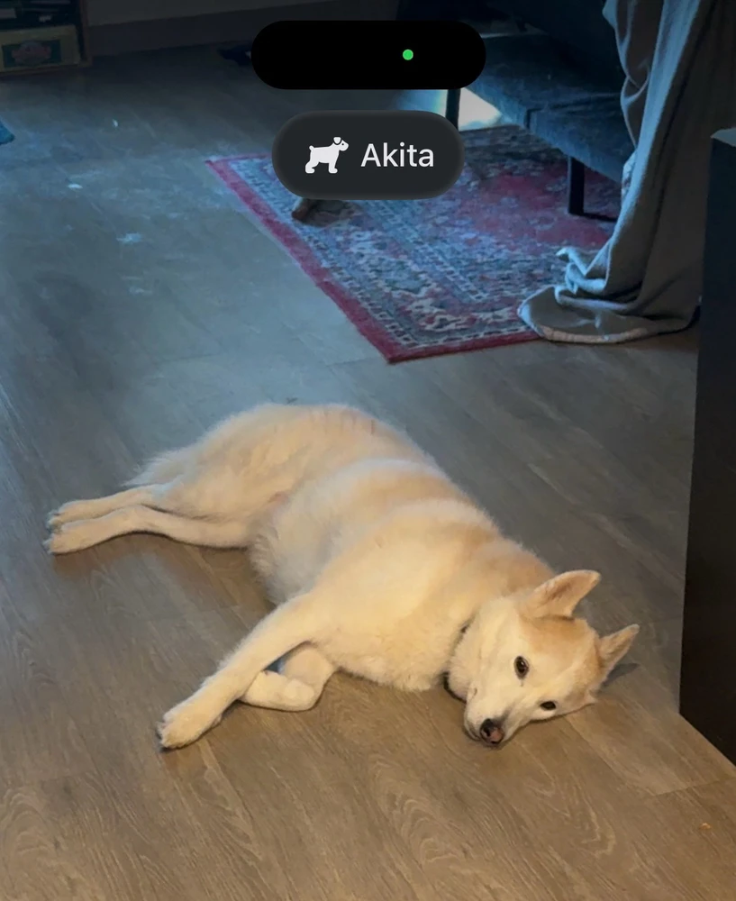 Image uploaded by Stephen