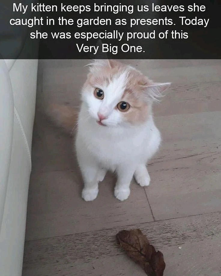 GIF uploaded by Andy