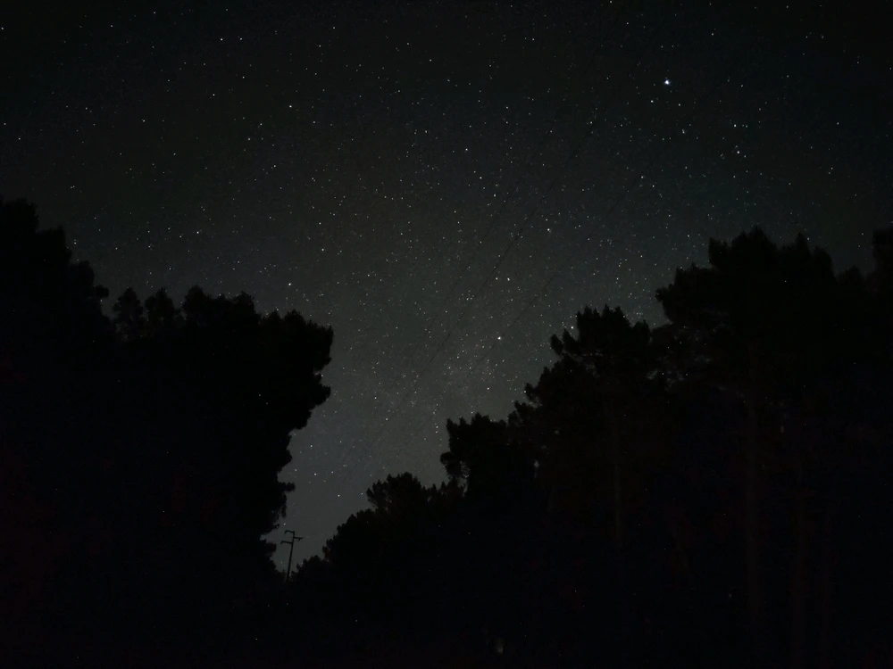 Image uploaded by Fla