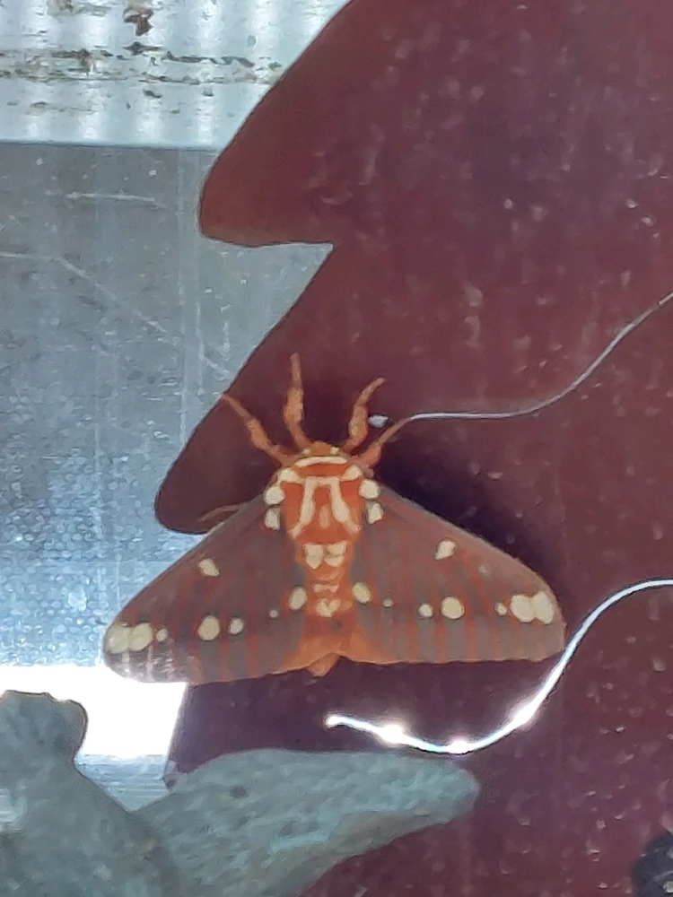 GIF uploaded by Jonathan