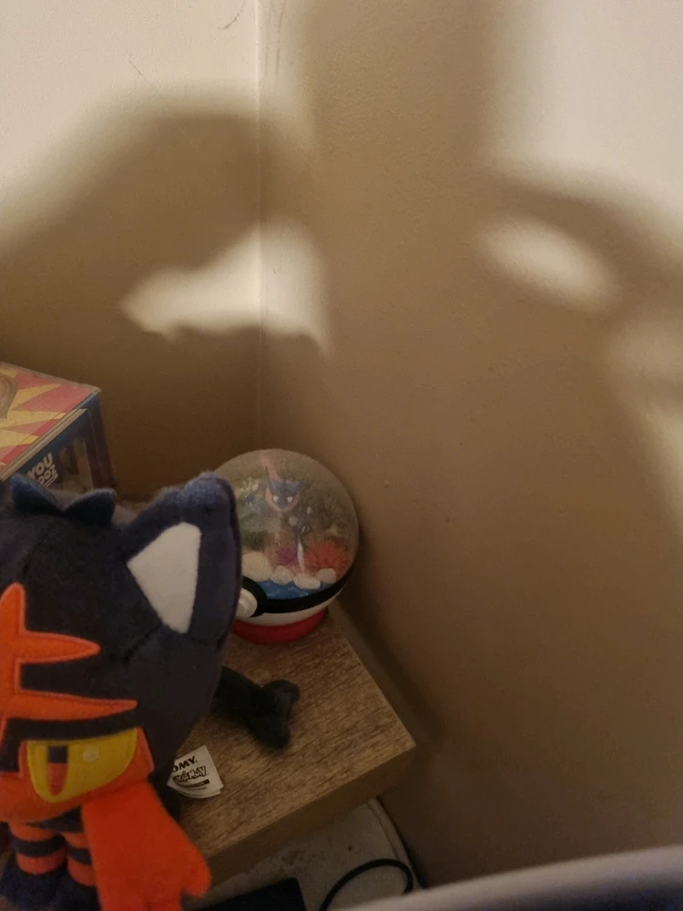 Image uploaded by Ethan Capper