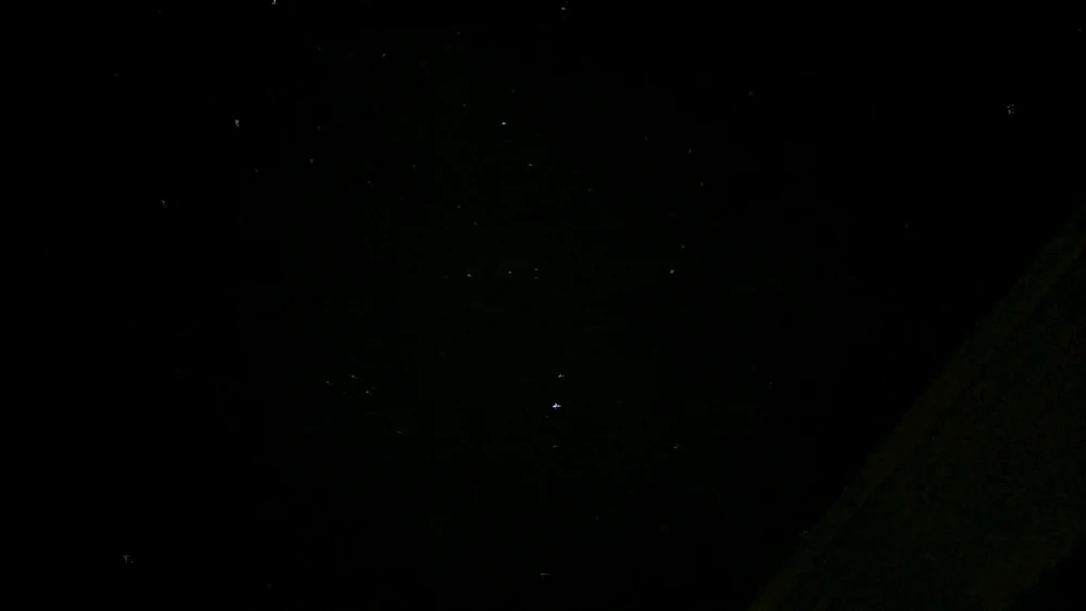 Image uploaded by Logan