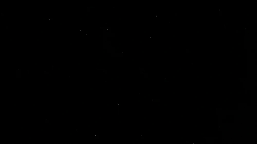 Image uploaded by Logan