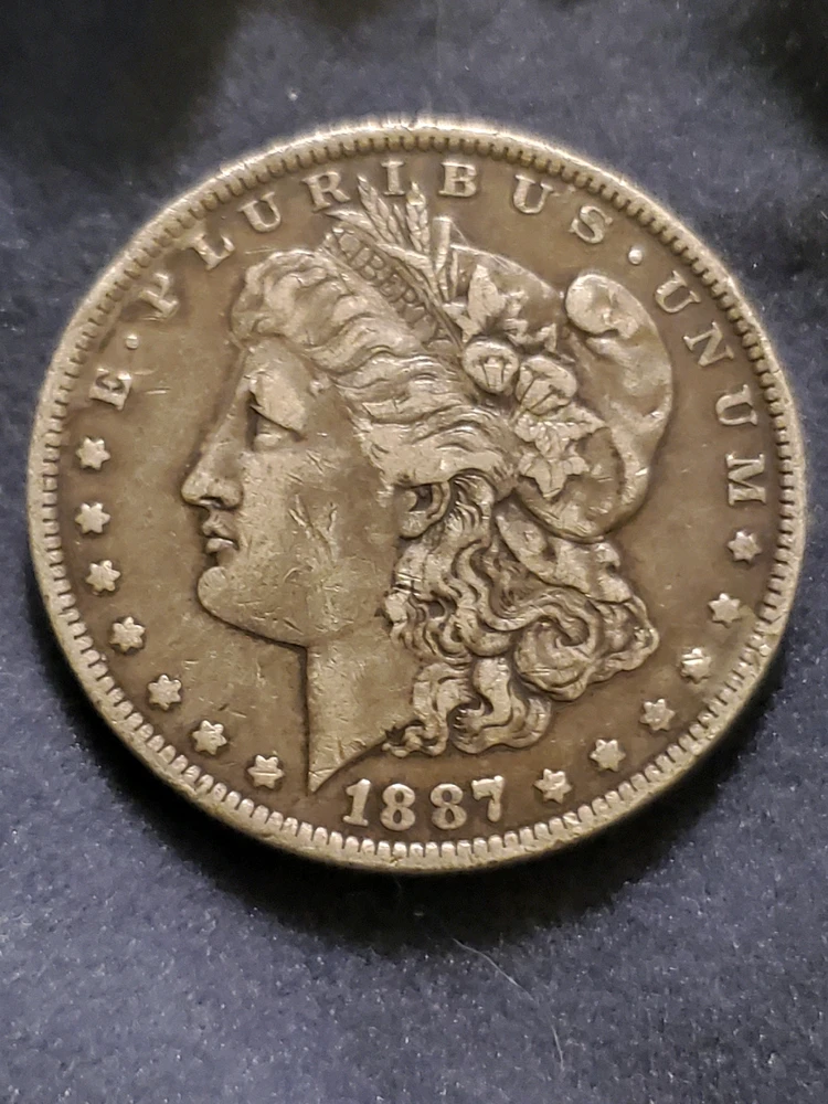 Image uploaded by Matthew