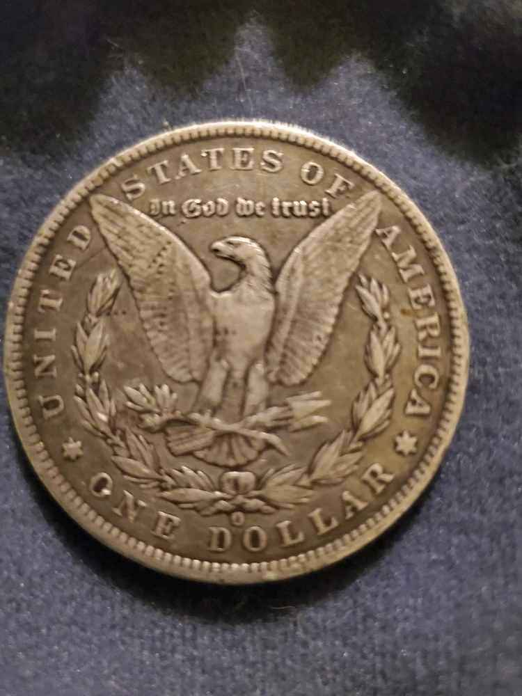 Image uploaded by Matthew