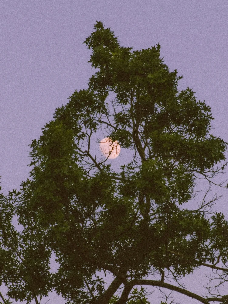 Imagen subida por Andy Hernández