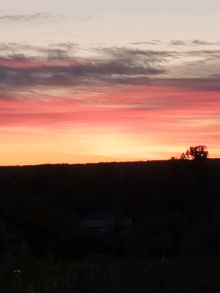 GIF загрузил Кристина