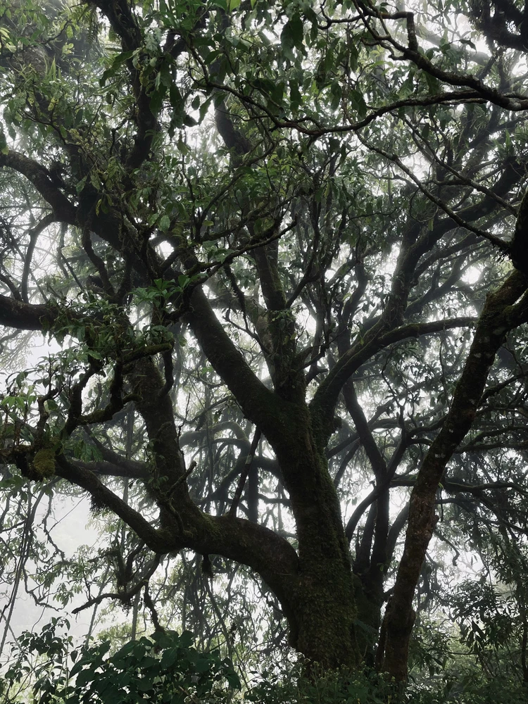 GIF diunggah oleh naya