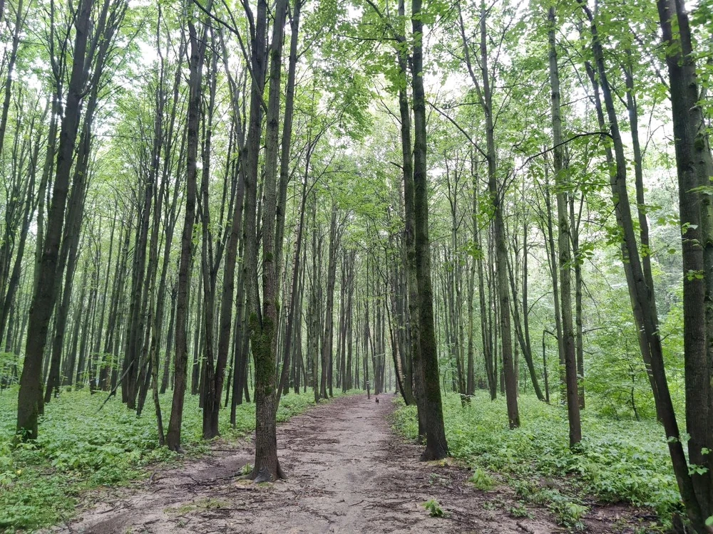 Фото загрузил Ana