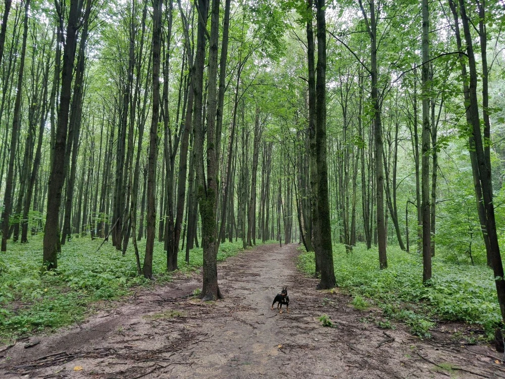 Фото загрузил Ana