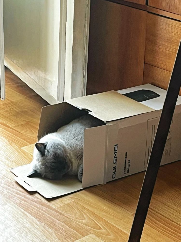 GIF uploaded by Lyubov