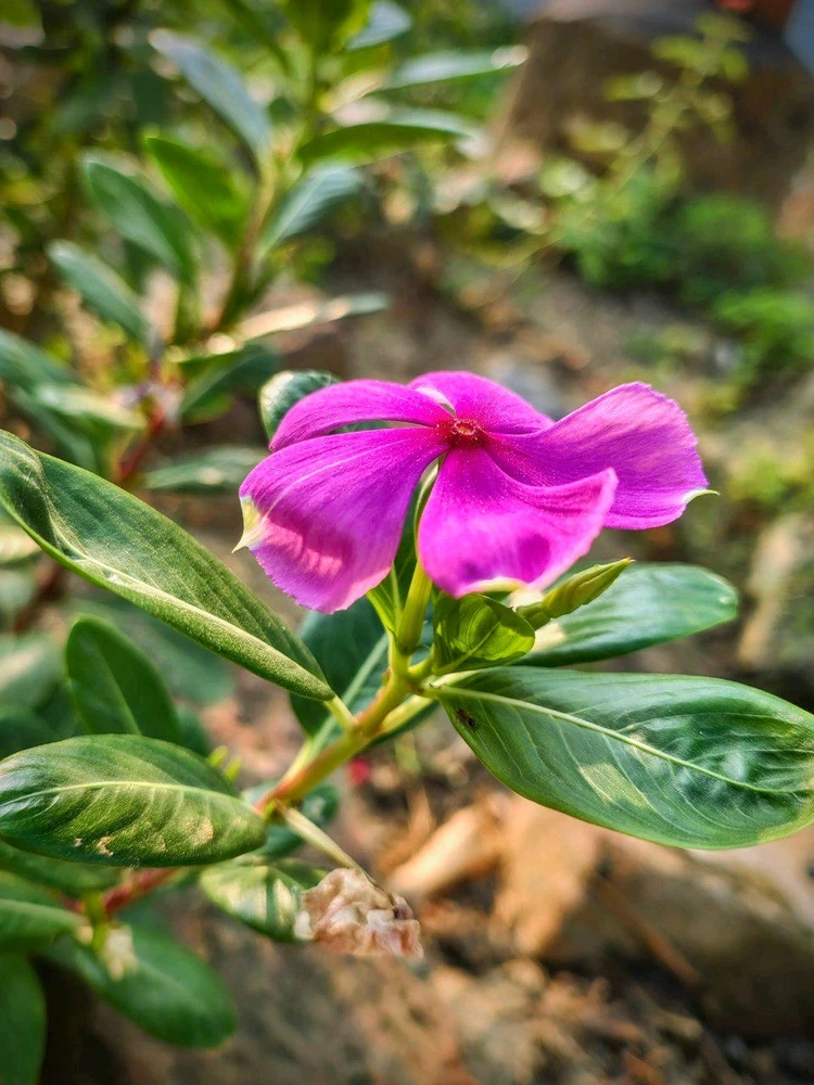 Ayush द्वारा अपलोड किया गया GIF