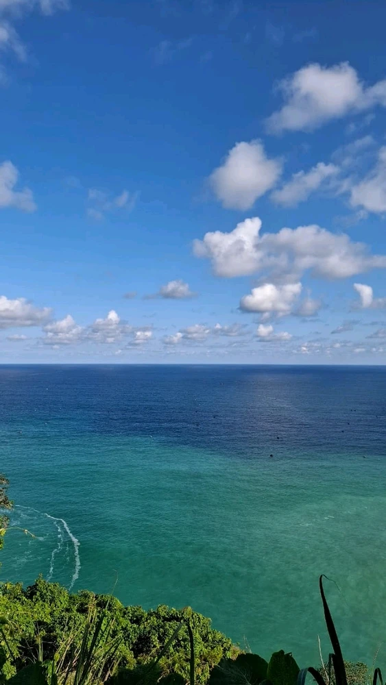 Gambar diunggah oleh Stevani Lee