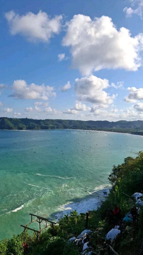 Gambar diunggah oleh Stevani Lee