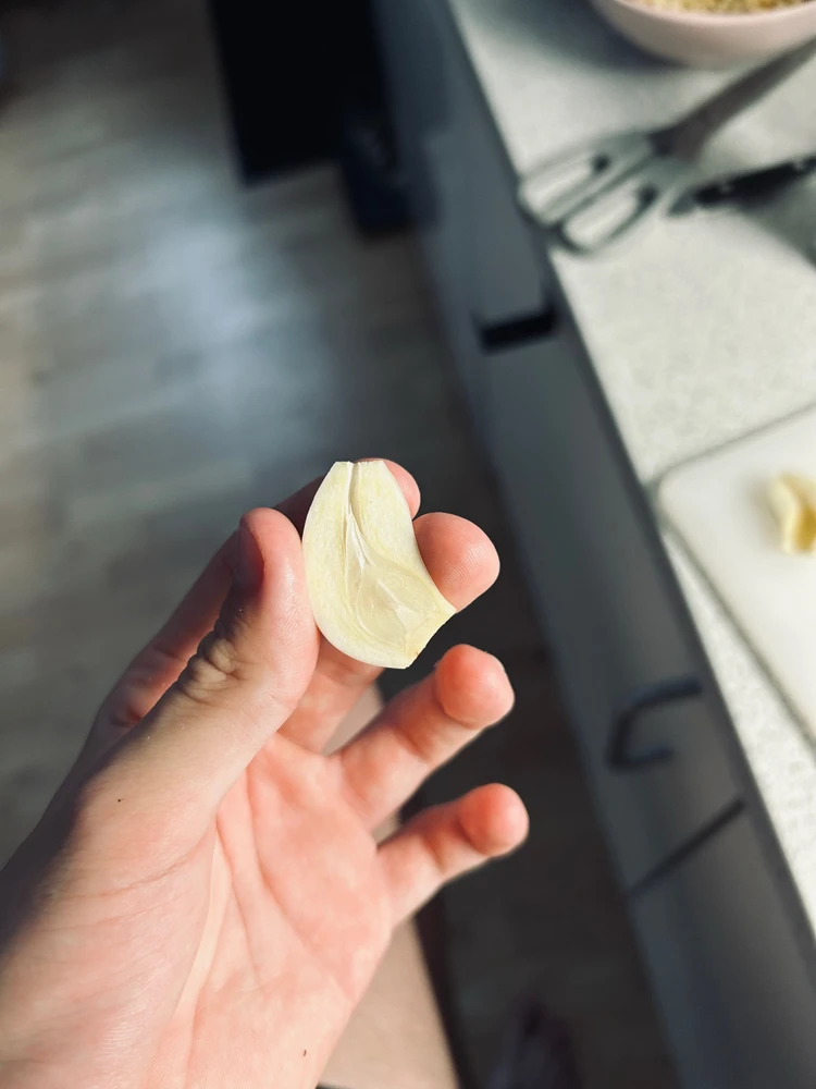 GIF uploaded by Willi