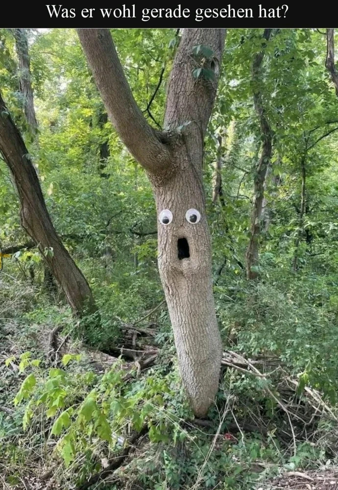 GIF hochgeladen von Sven