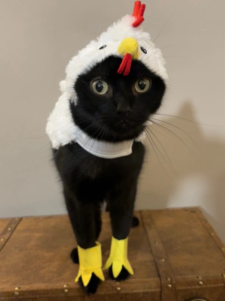 Image uploaded by Austin