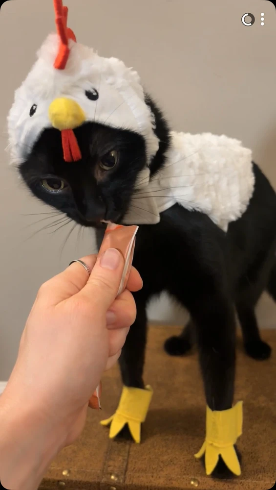 Image uploaded by Austin