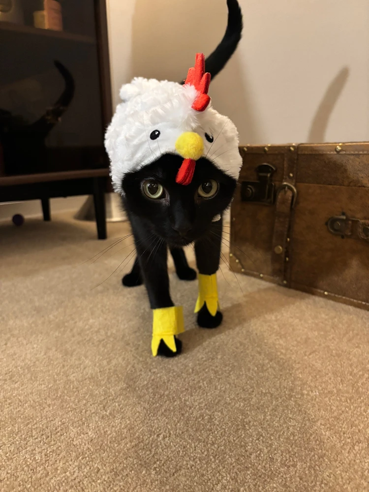 Image uploaded by Austin