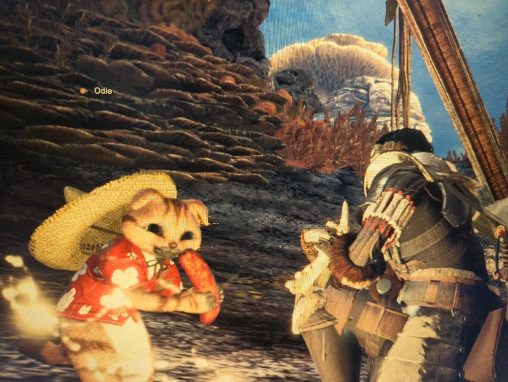 GIF uploaded by Angelo