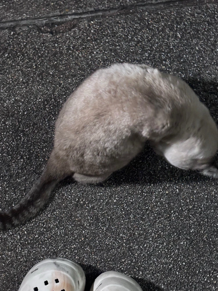 GIF อัปโหลดโดย Po