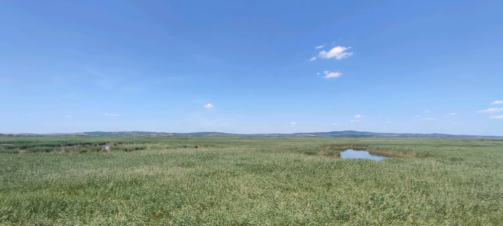 Isti által feltöltött kép