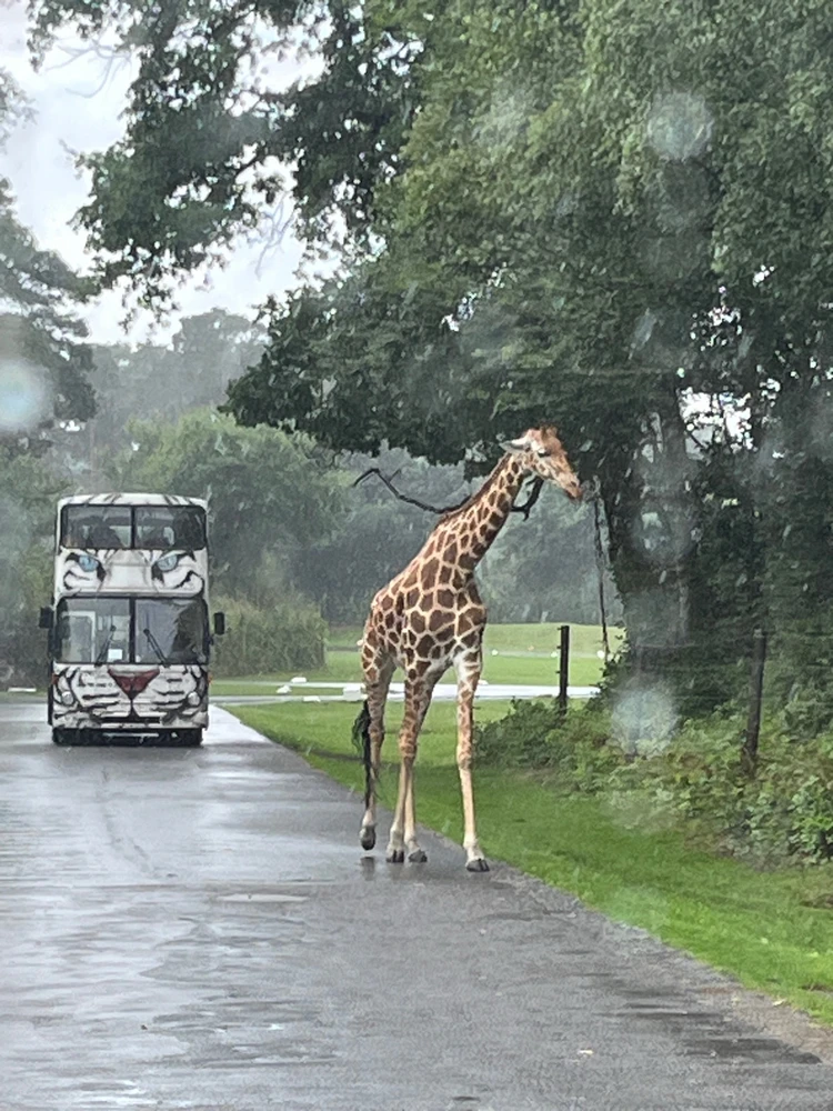 Bild hochgeladen von Abby