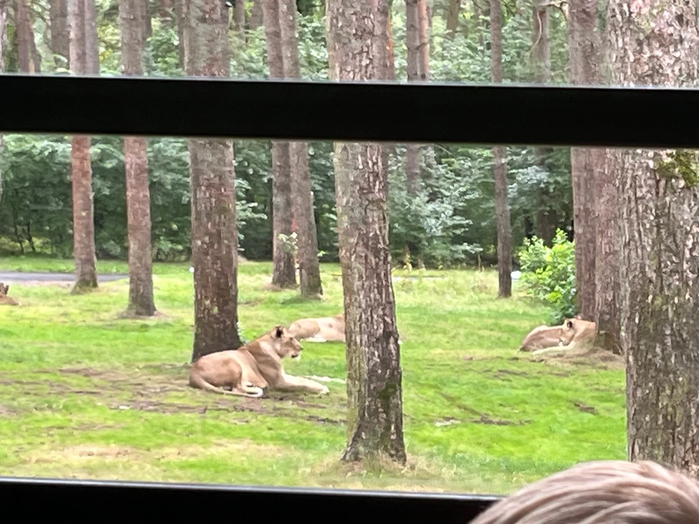 Bild hochgeladen von Abby