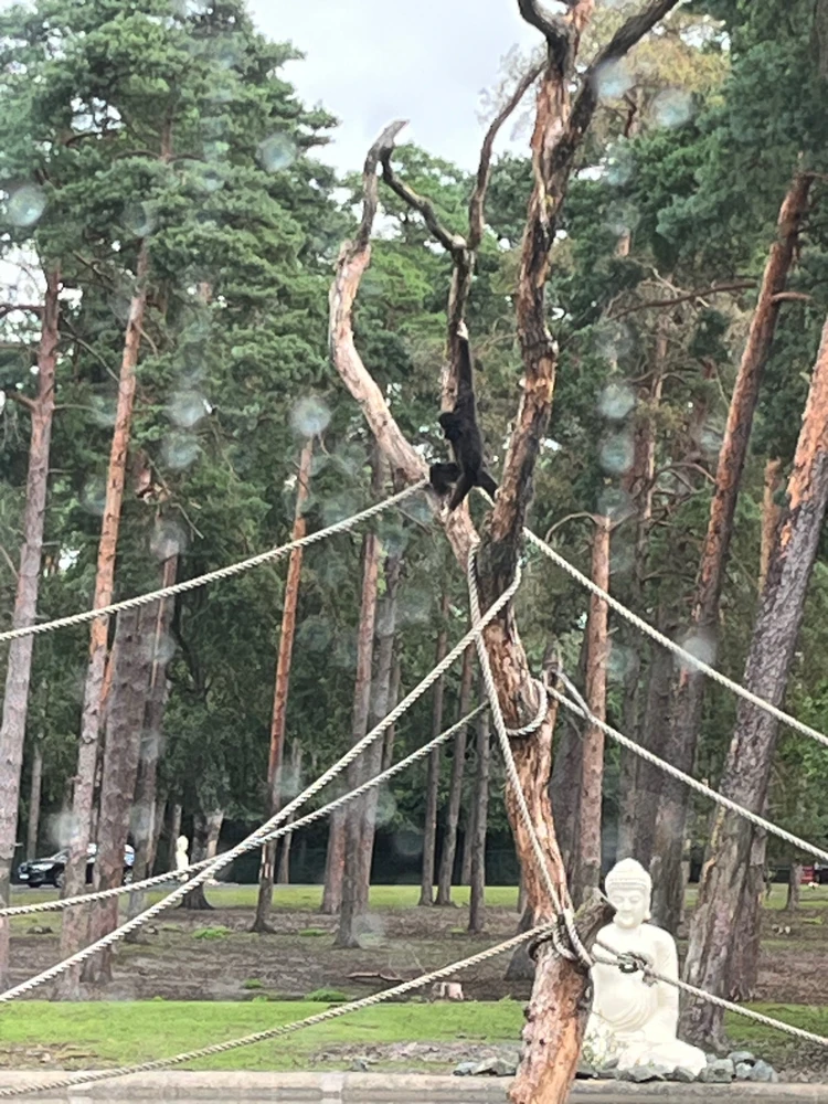 Bild hochgeladen von Abby