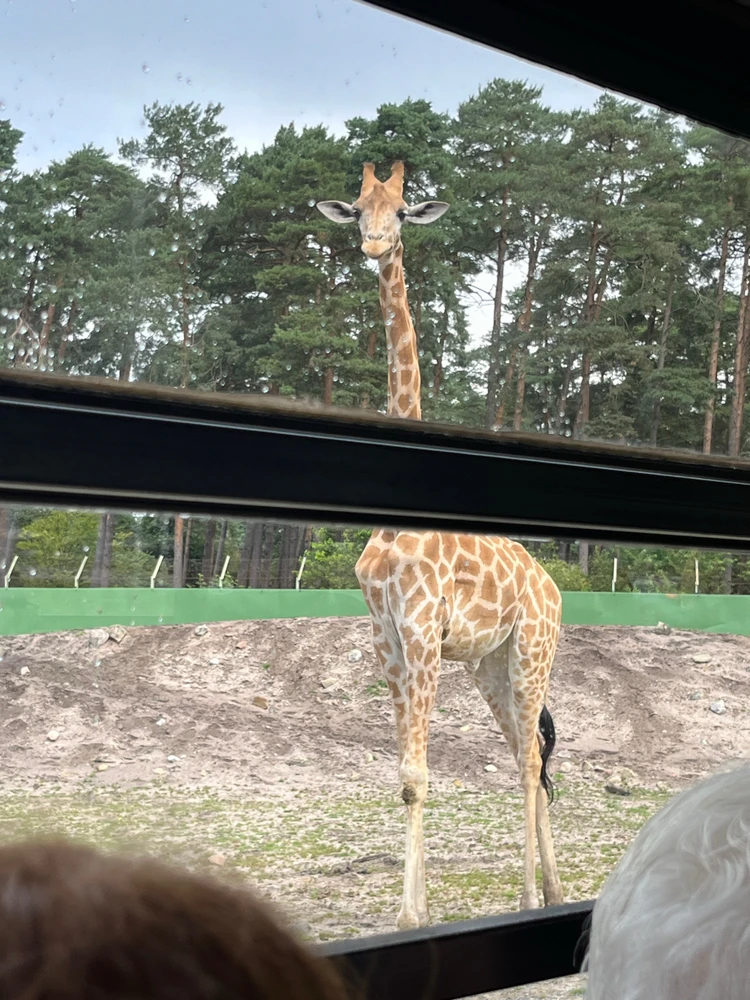 Bild hochgeladen von Abby