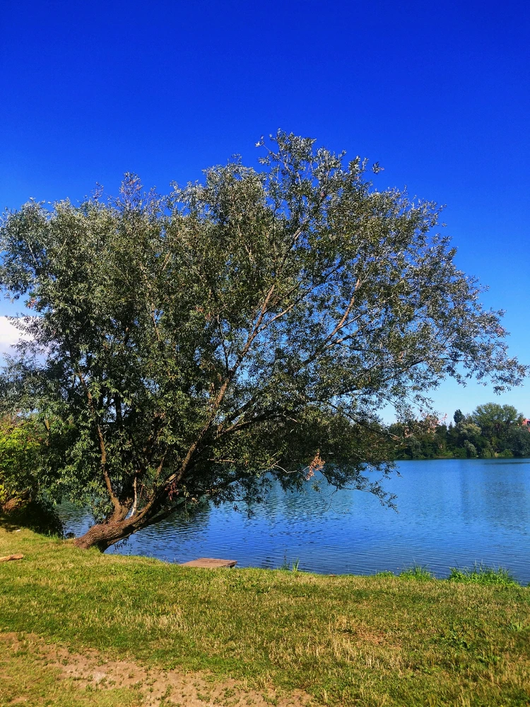 Immagine caricata da Andrea