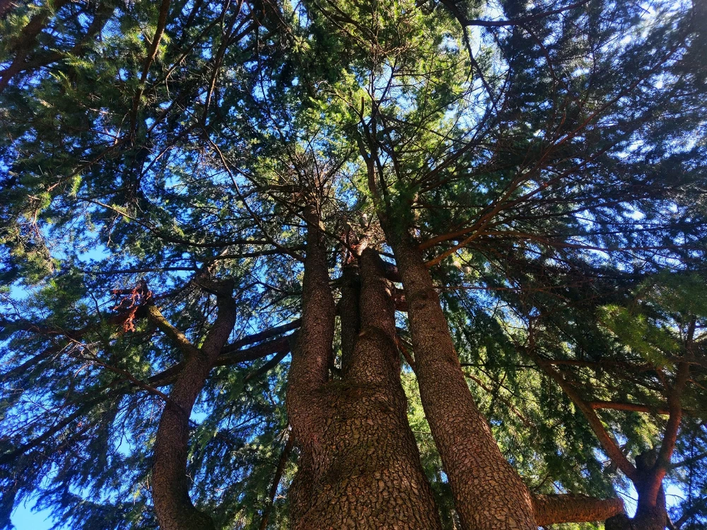 Immagine caricata da Andrea