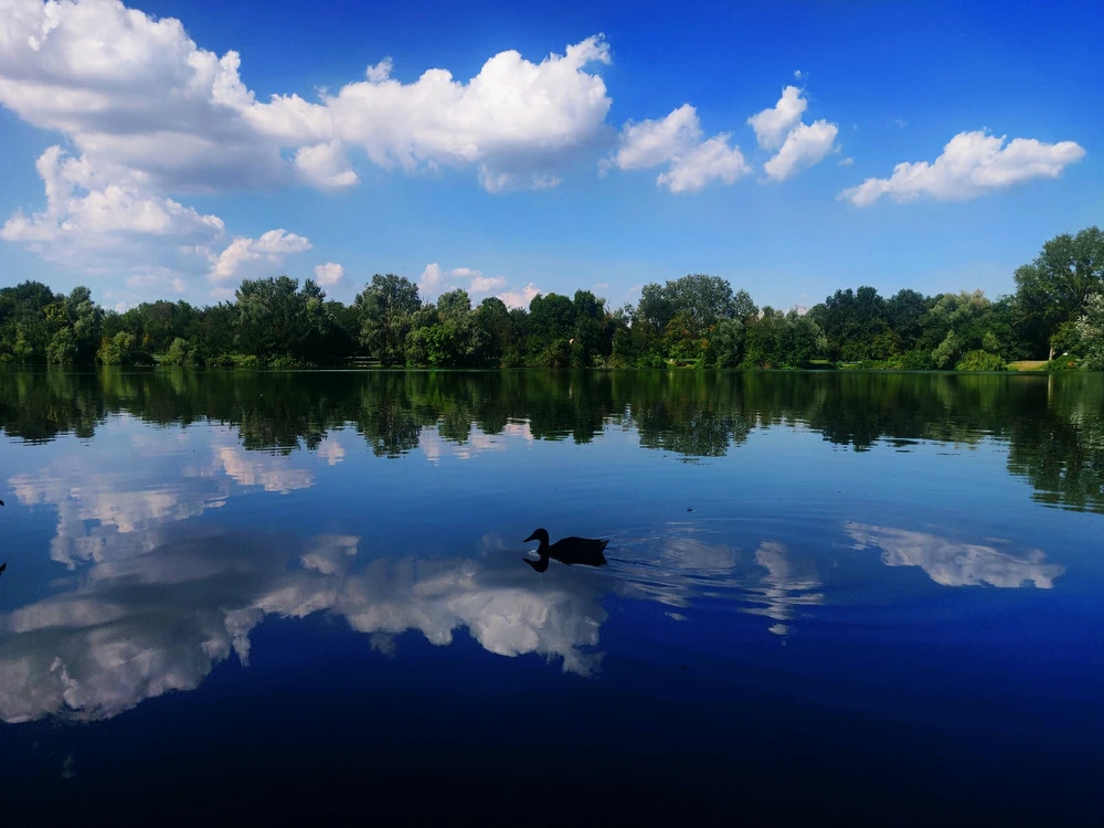 Immagine caricata da Andrea