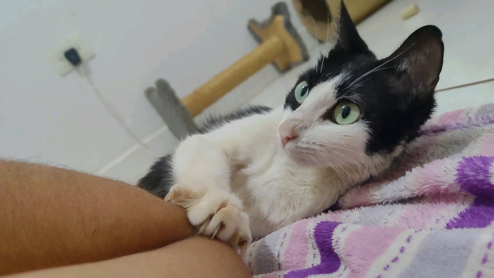 GIF enviado por Rafaela