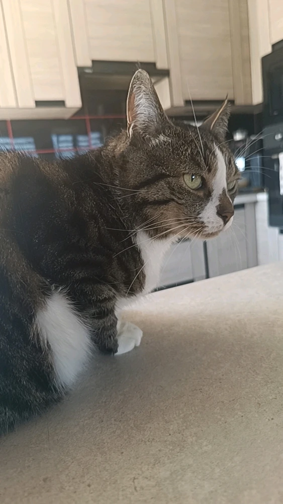 GIF dodany przez Norbert (Angel)