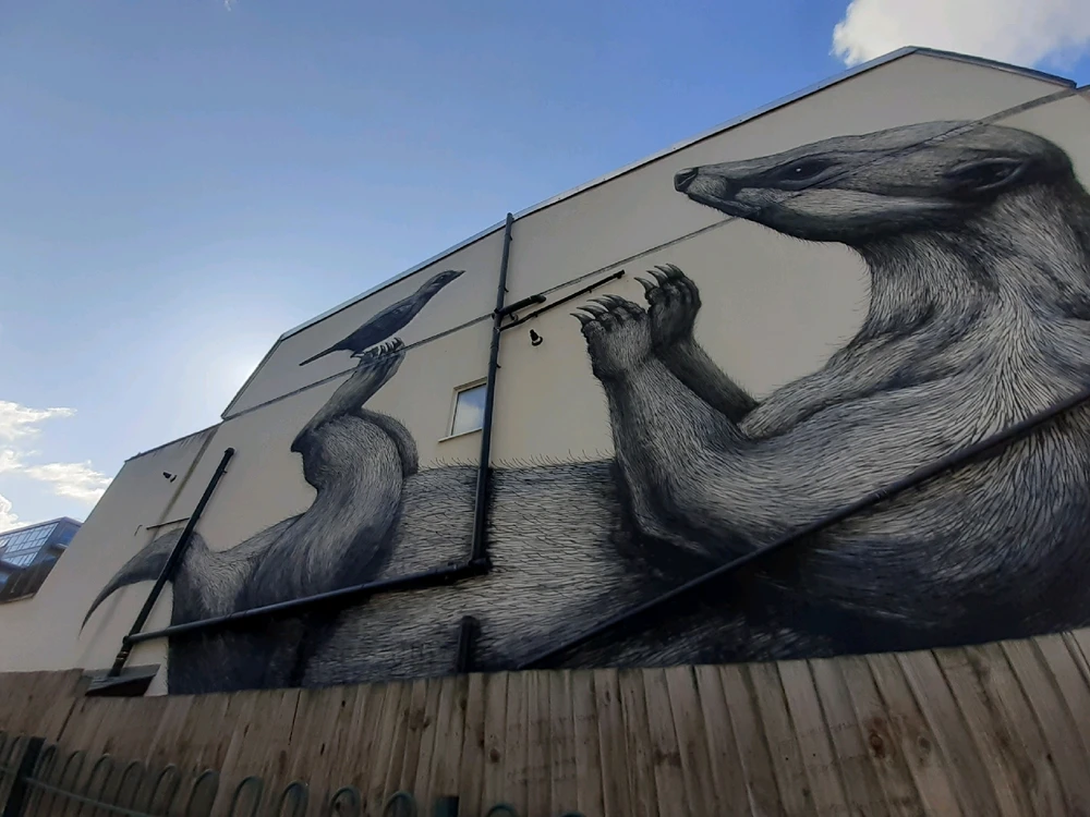 Image uploaded by Shearzy