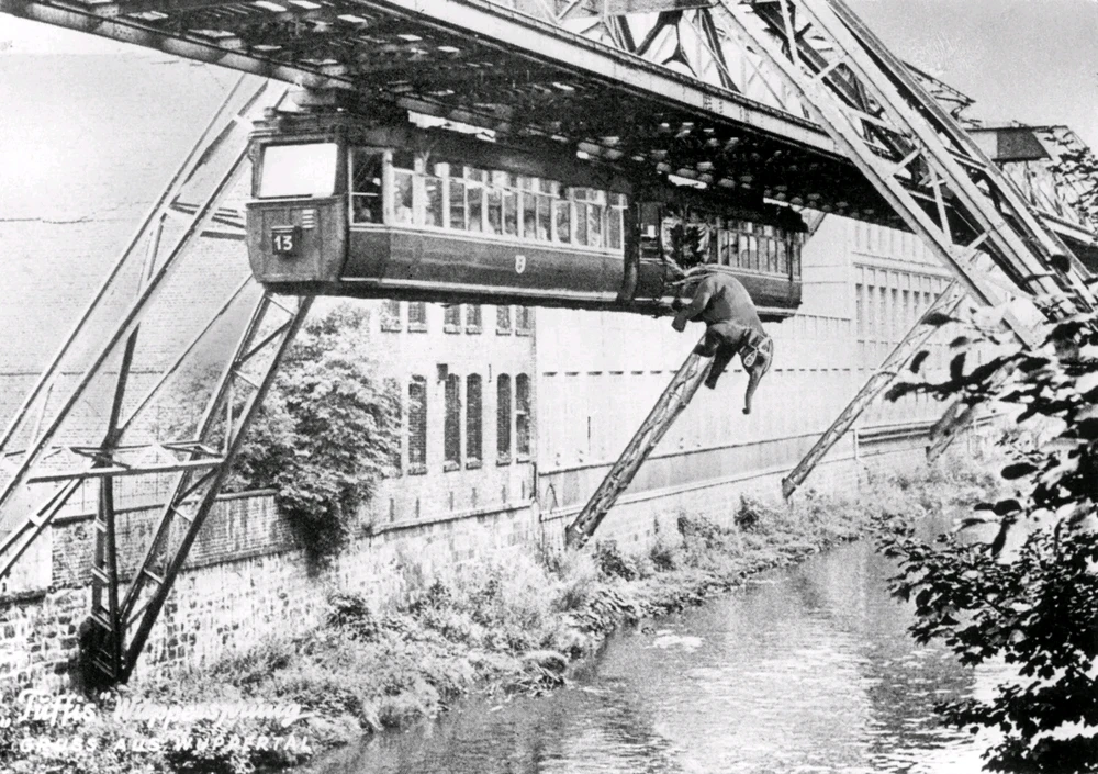 Vor 75 Jahren sprang Tuffi aus der Schwebebahn