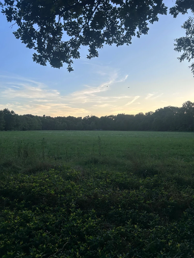 Immagine caricata da Simone