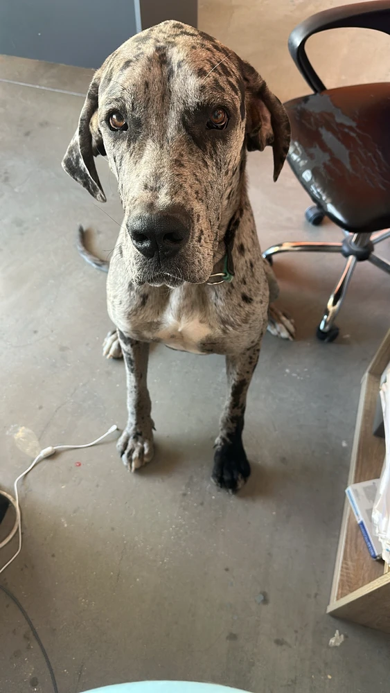 Image uploaded by Dimitra