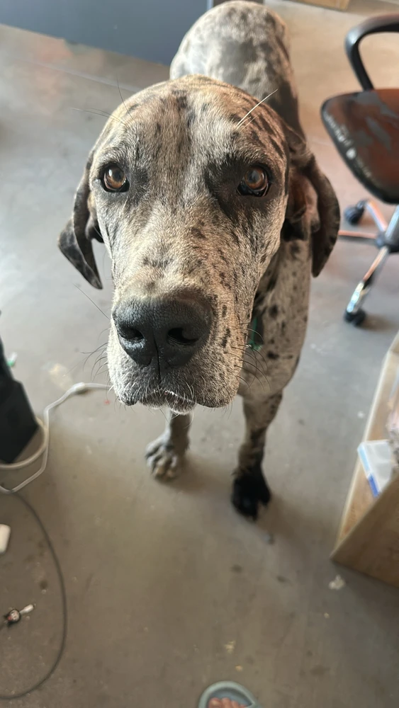 Image uploaded by Dimitra