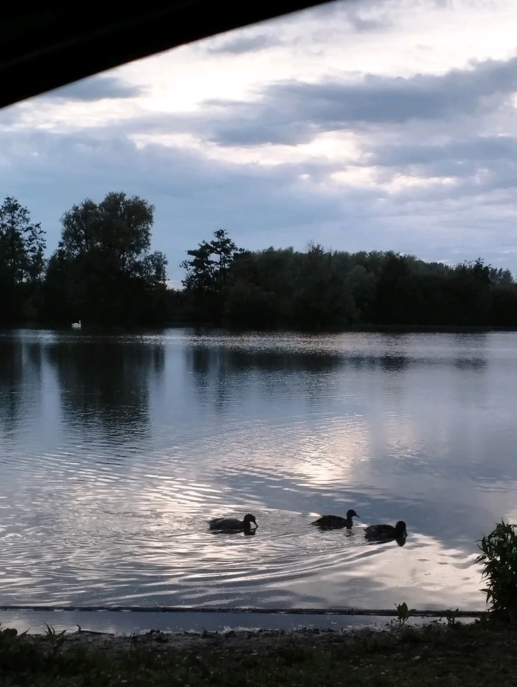 Image ajoutée par Coralie