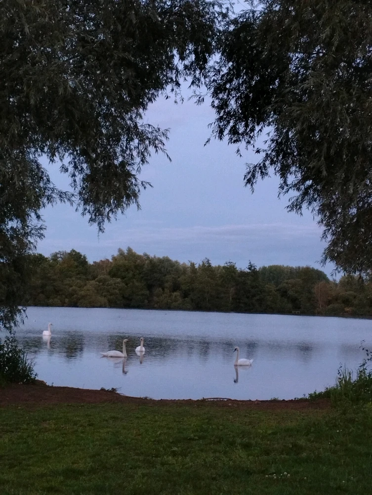 Image ajoutée par Coralie